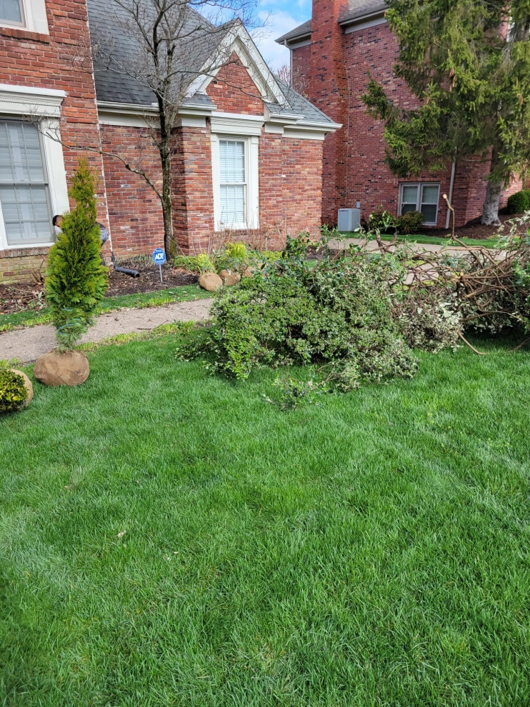 Alberto Alavez Professional Lawn Services LLC by Alberto Alavez Professional Lawn Services LLC - Photo 18
