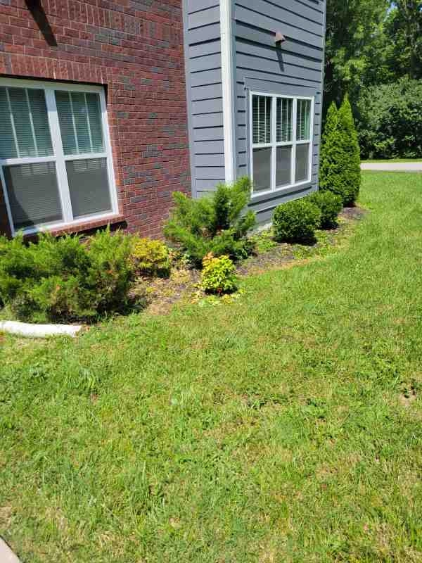 Alberto Alavez Professional Lawn Services LLC 3 by Alberto Alavez Professional Lawn Services LLC - Photo 31