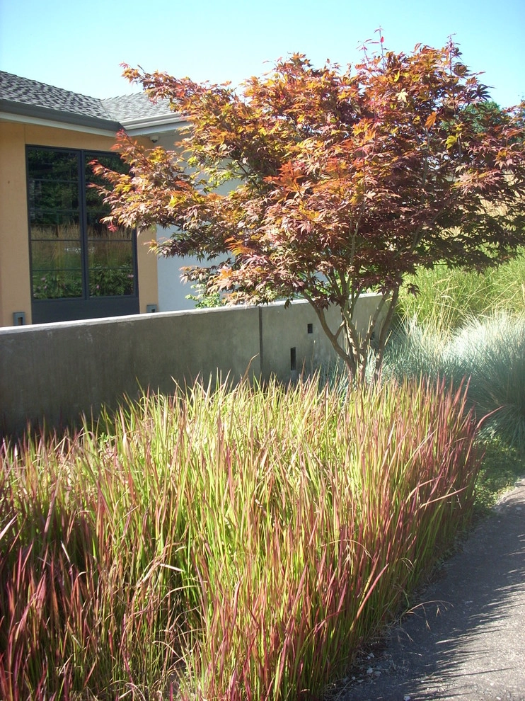 Pixies Landscape by LandCurrent Landscape Architects - Photo 6