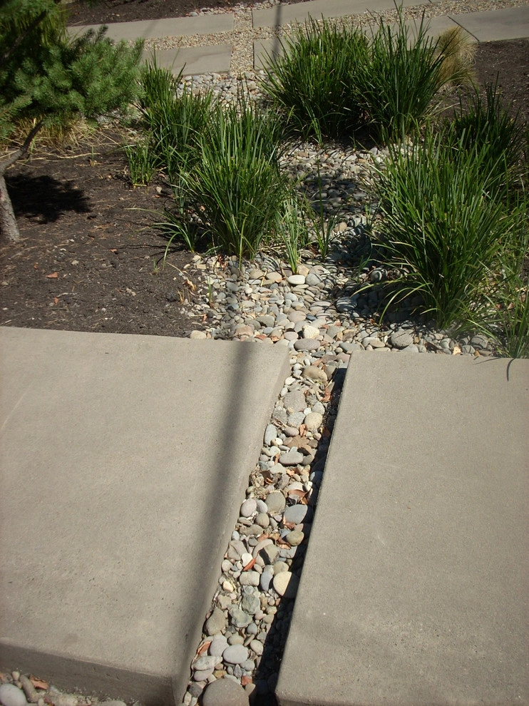 The Sage: A Water Wise Garden by LandCurrent Landscape Architects - Photo 8