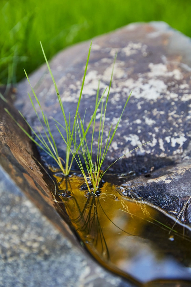 Cat's Ear by LandCurrent Landscape Architects - Photo 14