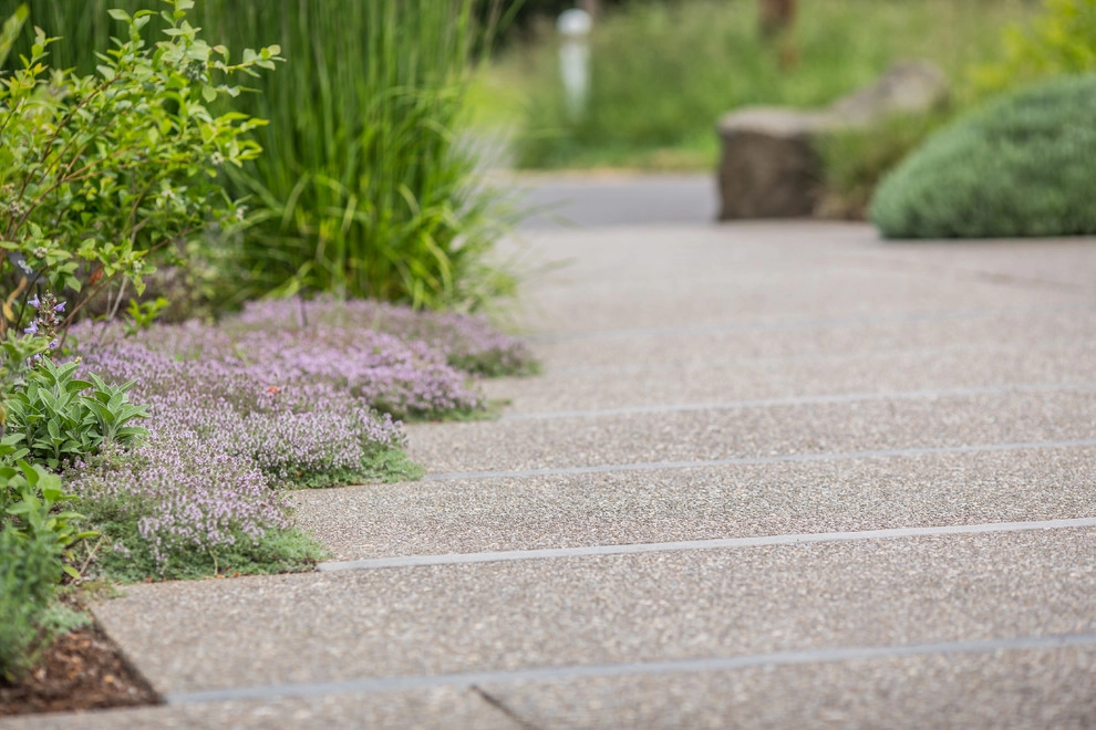 Water Wise Demonstration Garden by LandCurrent Landscape Architects - Photo 5