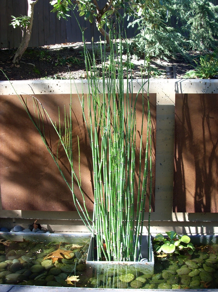 Modern Garden by LandCurrent Landscape Architects - Photo 2