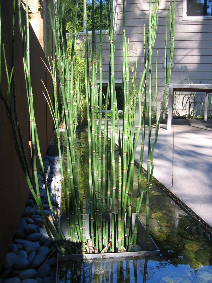 Modern Garden by LandCurrent Landscape Architects - Photo 7