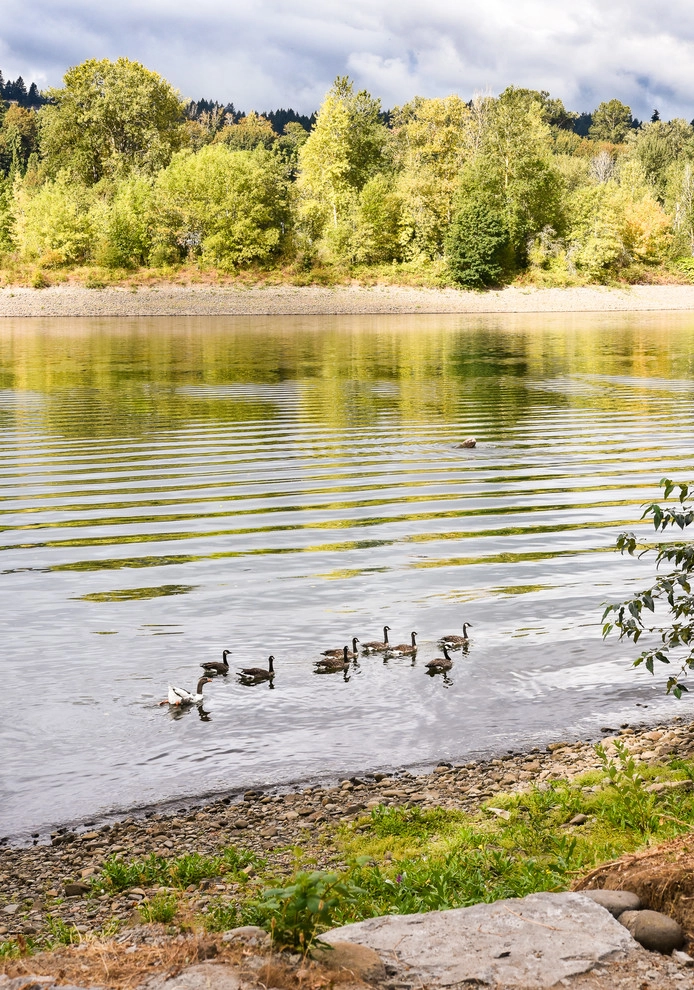 Willamette River View by LandCurrent Landscape Architects - Photo 8