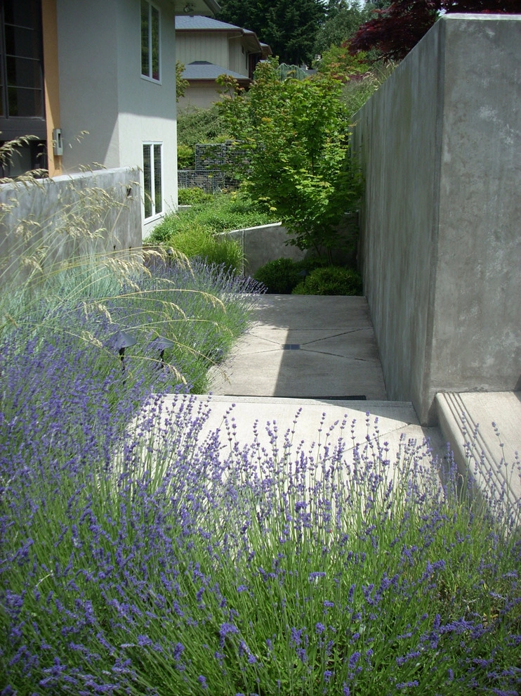 Pixies Landscape by LandCurrent Landscape Architects - Photo 8