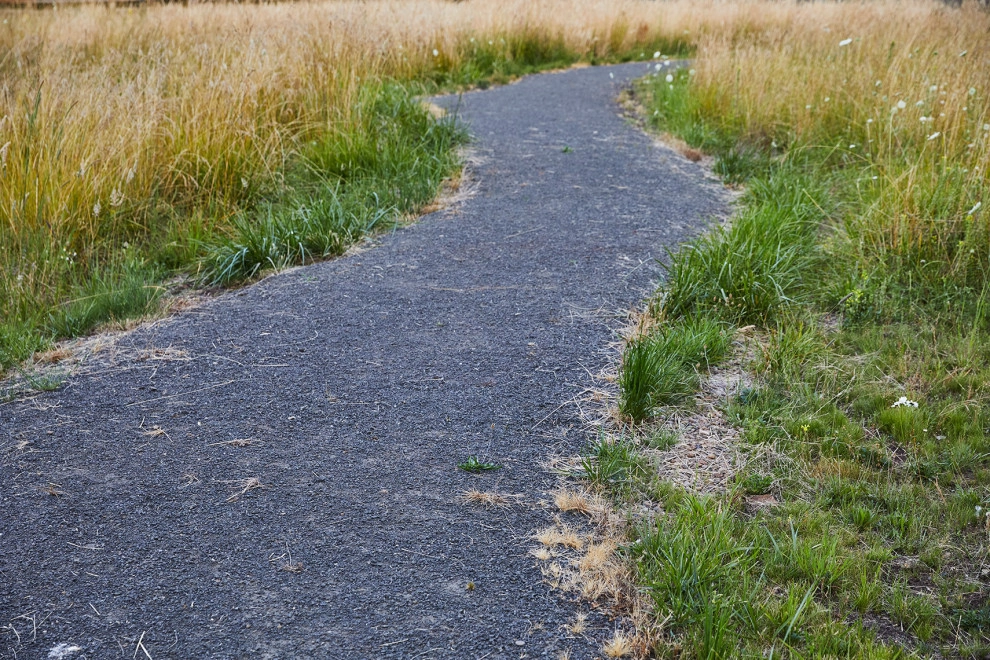 Cat's Ear by LandCurrent Landscape Architects - Photo 23