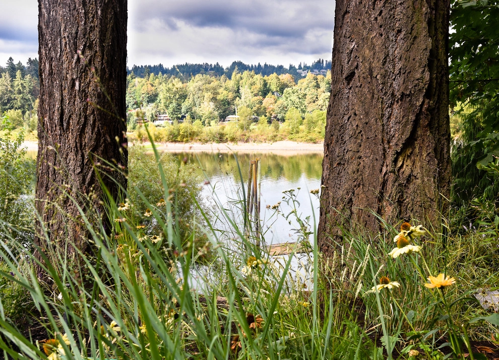 Willamette River View by LandCurrent Landscape Architects - Photo 18