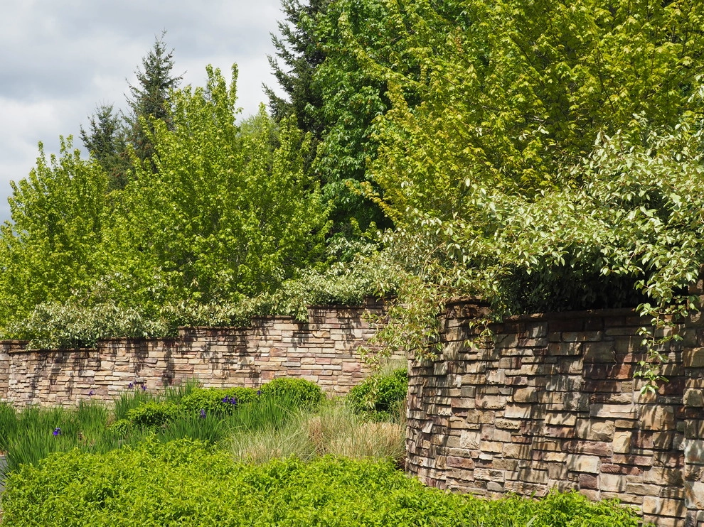 Oregon City Estate Landscape by LandCurrent Landscape Architects - Photo 3