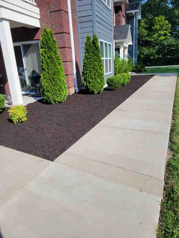 Alberto Alavez Professional Lawn Services LLC 3 by Alberto Alavez Professional Lawn Services LLC - Photo 56
