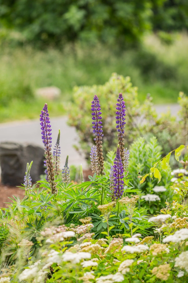 LandCurrent Landscape Architects - Photo 12