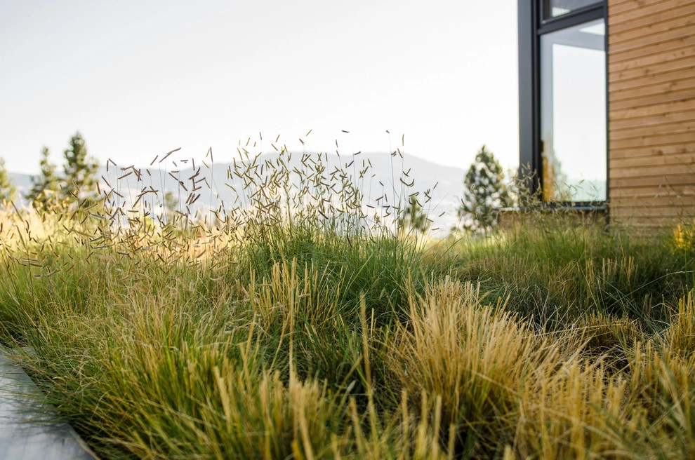 FineLine Custom Home by LandCurrent Landscape Architects - Photo 2