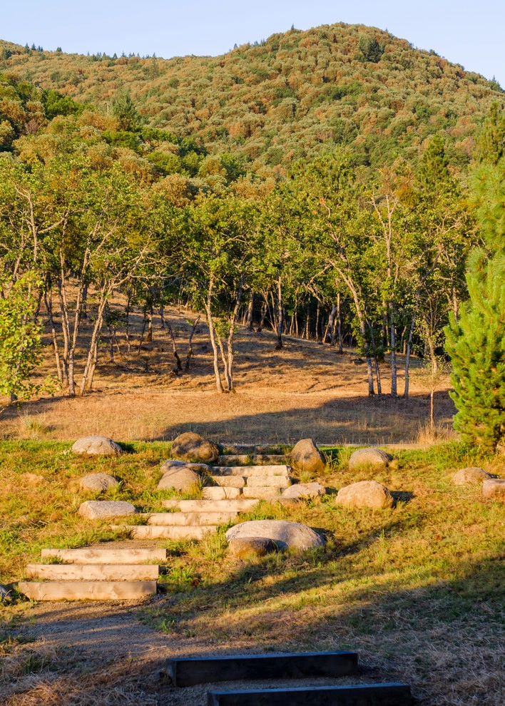 FineLine Custom Home by LandCurrent Landscape Architects - Photo 11