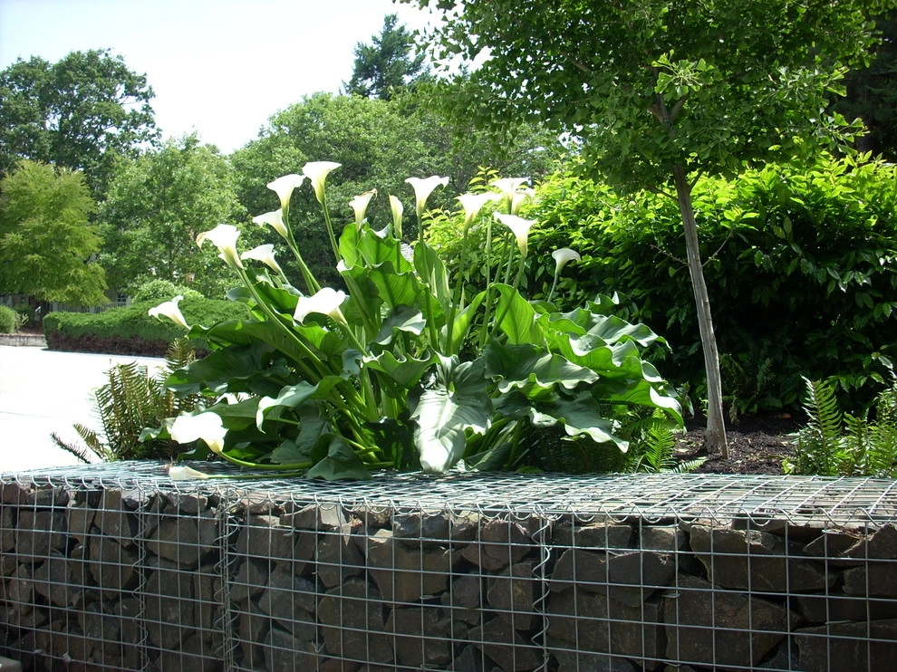 Pixies Landscape by LandCurrent Landscape Architects - Photo 2