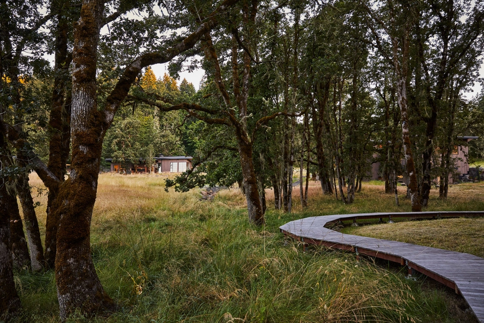 Cat's Ear by LandCurrent Landscape Architects - Photo 4