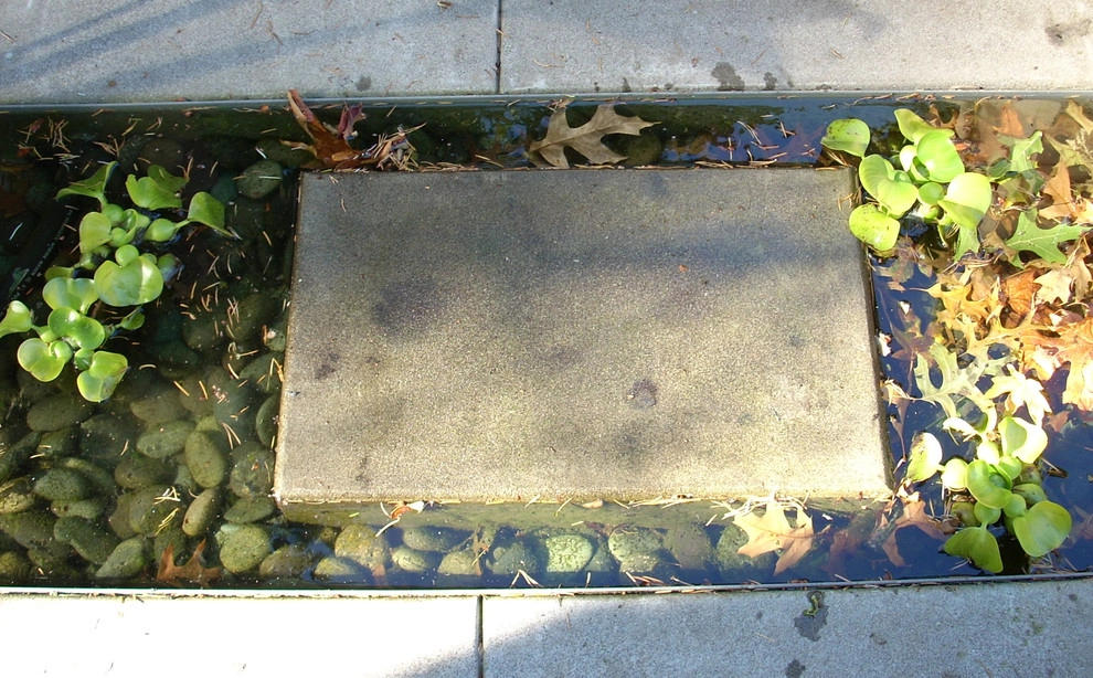 Modern Garden by LandCurrent Landscape Architects - Photo 5