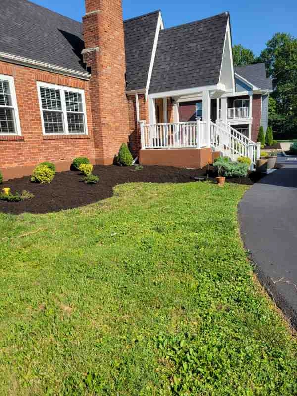 Alberto Alavez Professional Lawn Services LLC 3 by Alberto Alavez Professional Lawn Services LLC - Photo 25