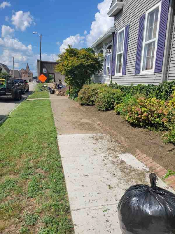 Alberto Alavez Professional Lawn Services LLC 3 by Alberto Alavez Professional Lawn Services LLC - Photo 29