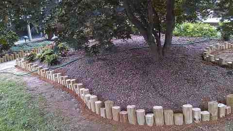 Alberto Alavez Professional Lawn Services LLC 3 by Alberto Alavez Professional Lawn Services LLC - Photo 40