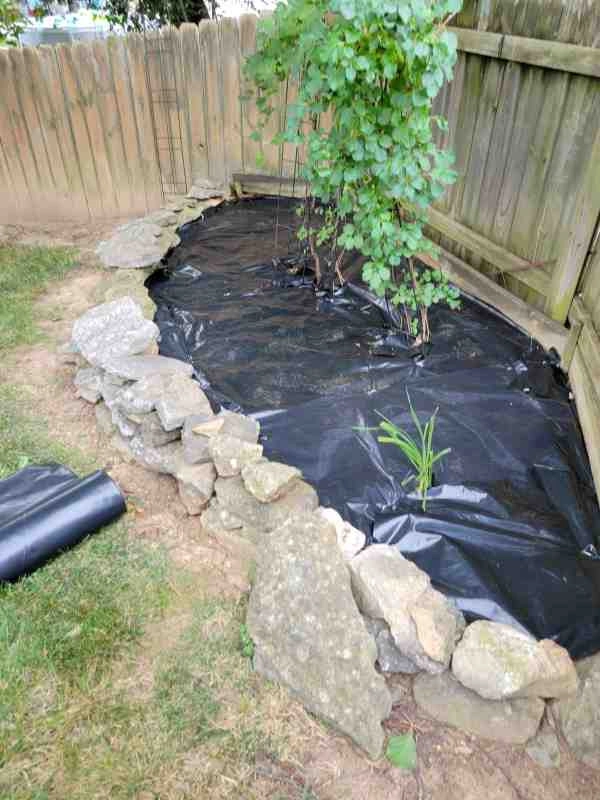 Alberto Alavez Professional Lawn Services LLC 3 by Alberto Alavez Professional Lawn Services LLC - Photo 50