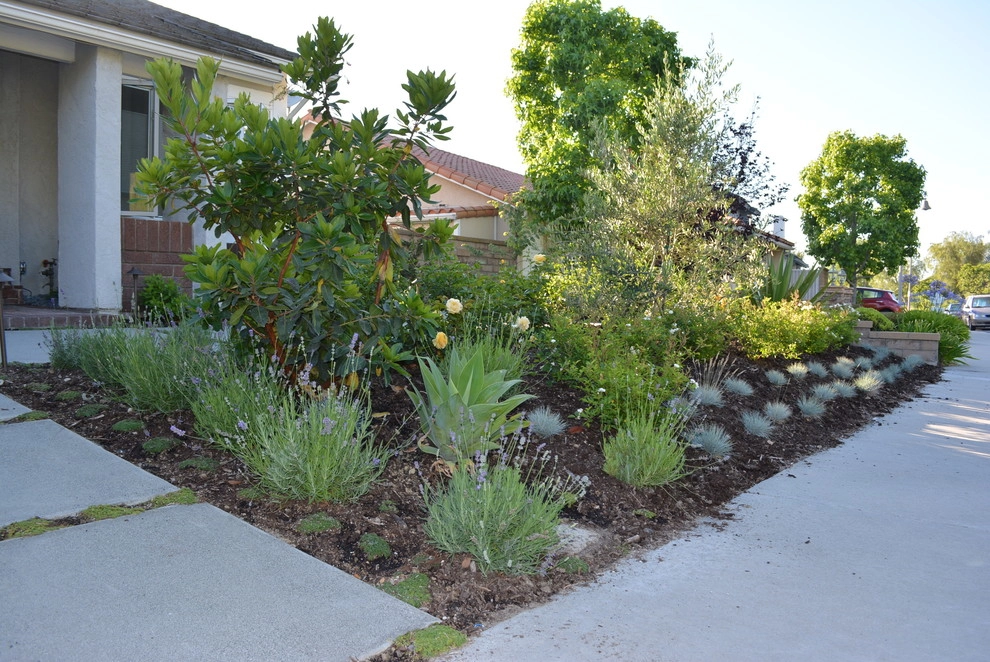 Mission Viejo Residence by LandFluent Landscape Architecture - Photo 3