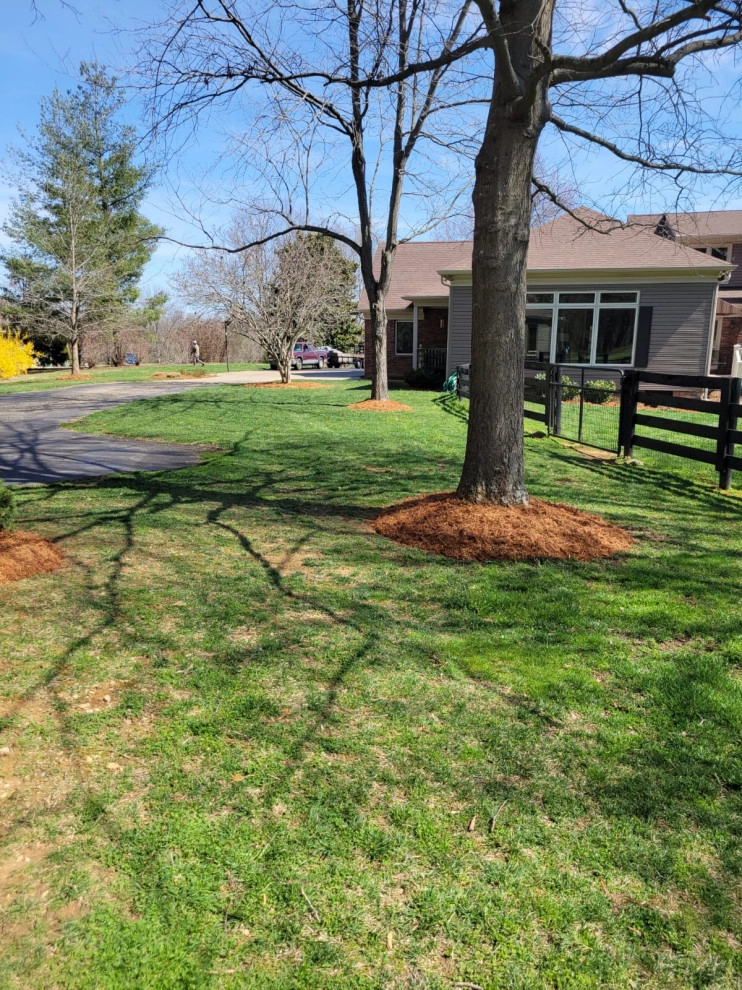 Alberto Alavez Professional Lawn Services LLC 10 by Alberto Alavez Professional Lawn Services LLC - Photo 10