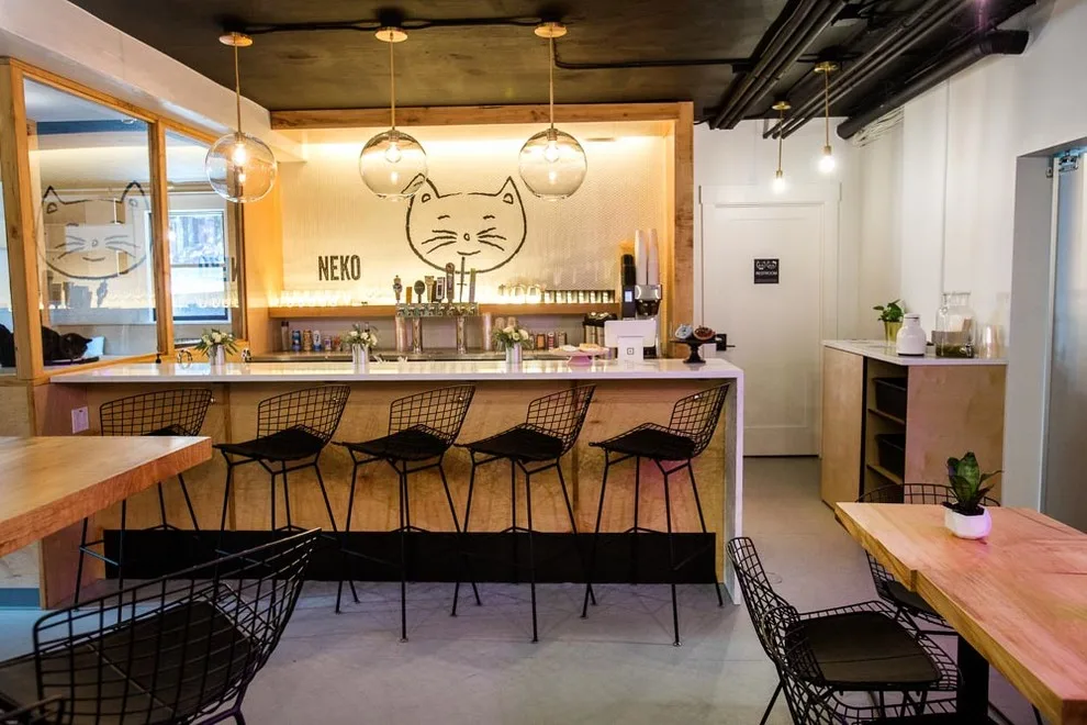 Feline Coffee House by Heartwood Builders - Photo 5