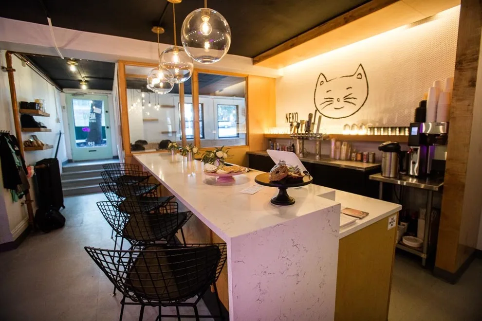 Feline Coffee House by Heartwood Builders - Photo 3