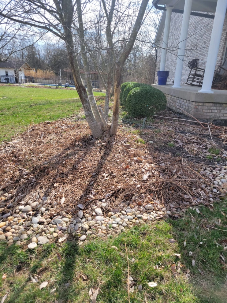 Alberto Alavez Professional Lawn Services LLC 12 by Alberto Alavez Professional Lawn Services LLC - Photo 20