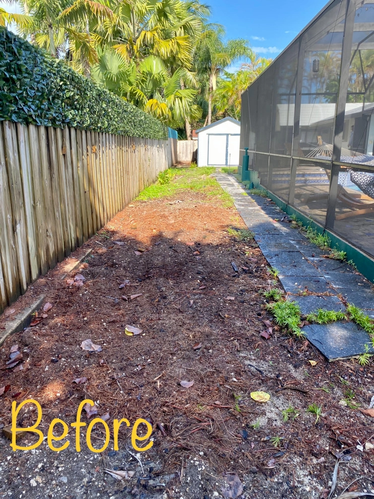Beautiful Landscaping Miami by Amazing Outdoors Miami - Photo 4
