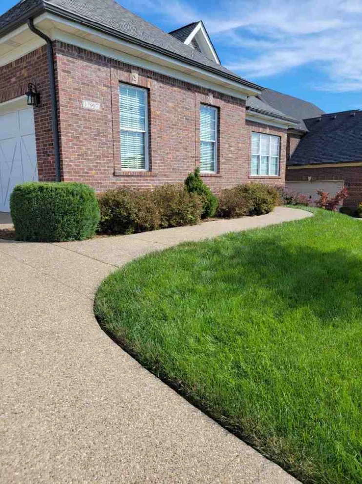Alberto Alavez Professional Lawn Services LLC 6 by Alberto Alavez Professional Lawn Services LLC - Photo 15