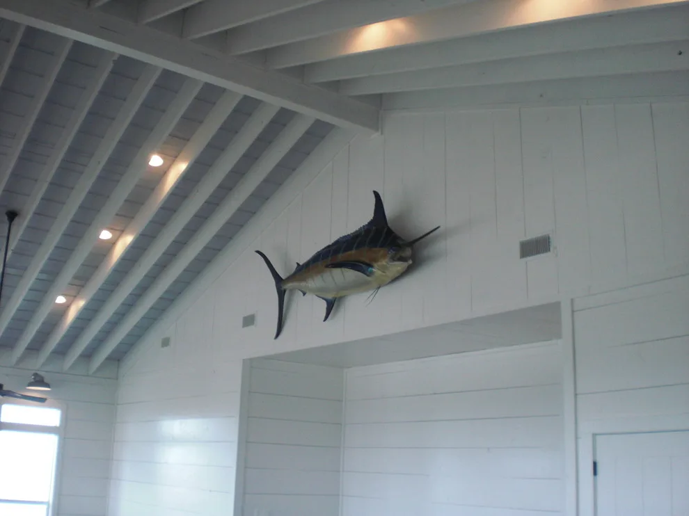 Fresh Images! by Bart Nichols Construction - Photo 4