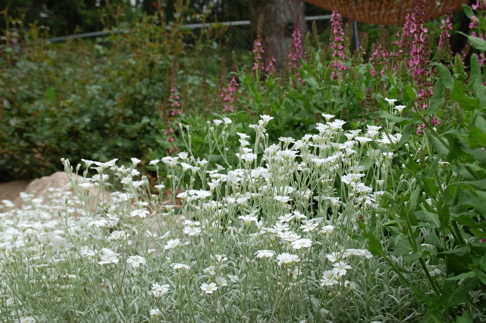 Cut Flowers and Perennial Gardens by Landscape Architecture, LLC - Photo 23
