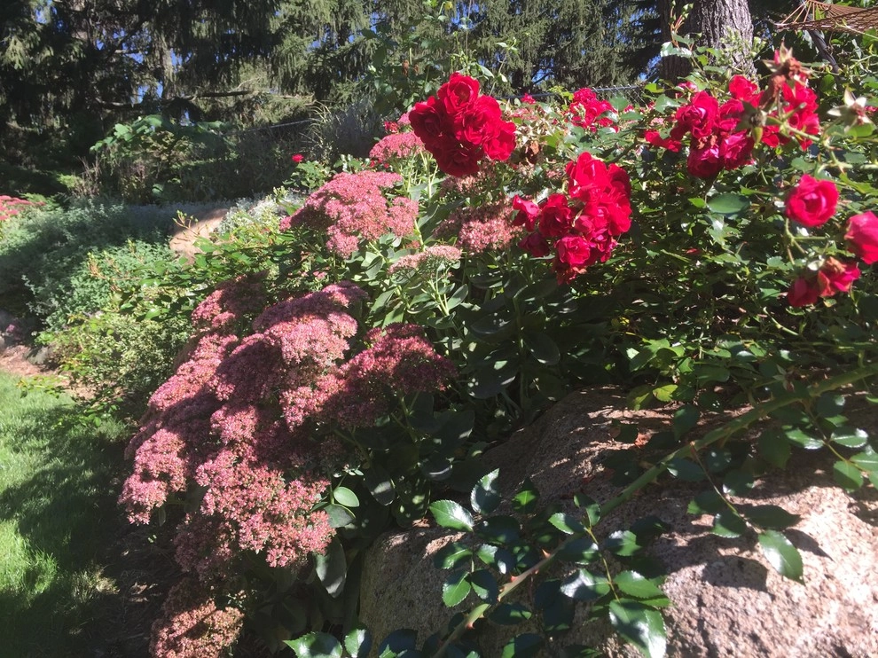 Cut Flowers and Perennial Gardens by Landscape Architecture, LLC - Photo 12