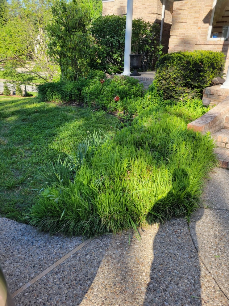 Alberto Alavez Professional Lawn Services LLC 17 by Alberto Alavez Professional Lawn Services LLC - Photo 7