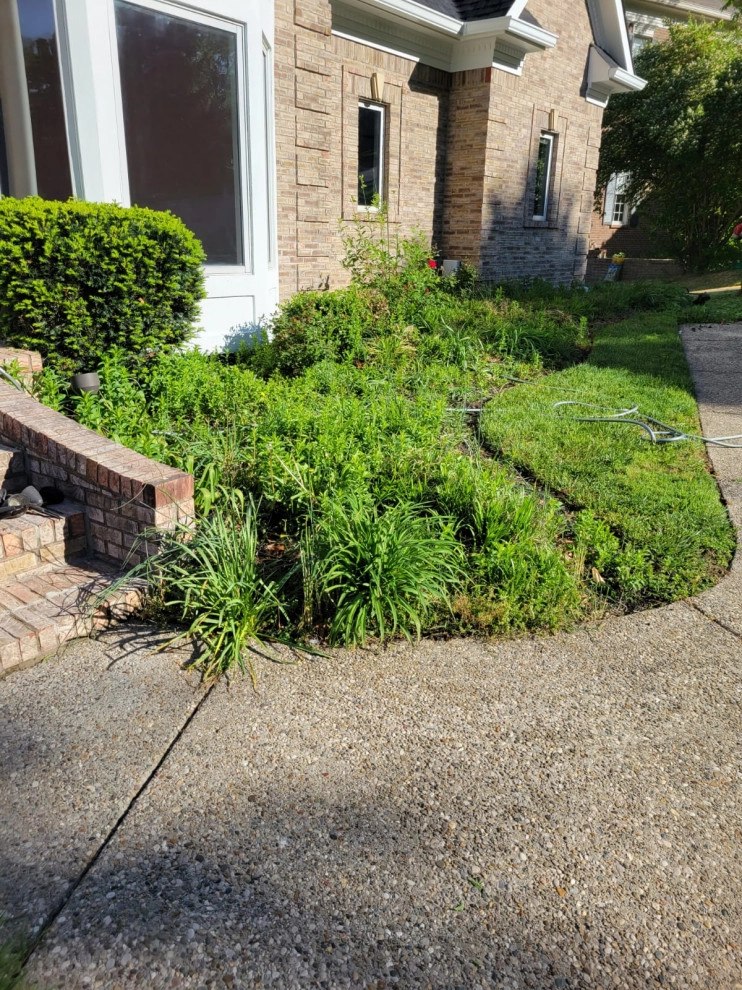 Alberto Alavez Professional Lawn Services LLC 17 by Alberto Alavez Professional Lawn Services LLC - Photo 24