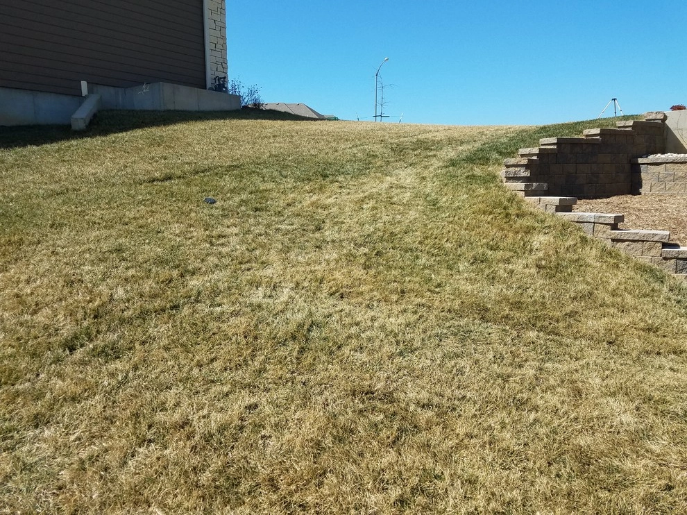 Backyard Steps by Landscape Consultants LLC - Photo 2