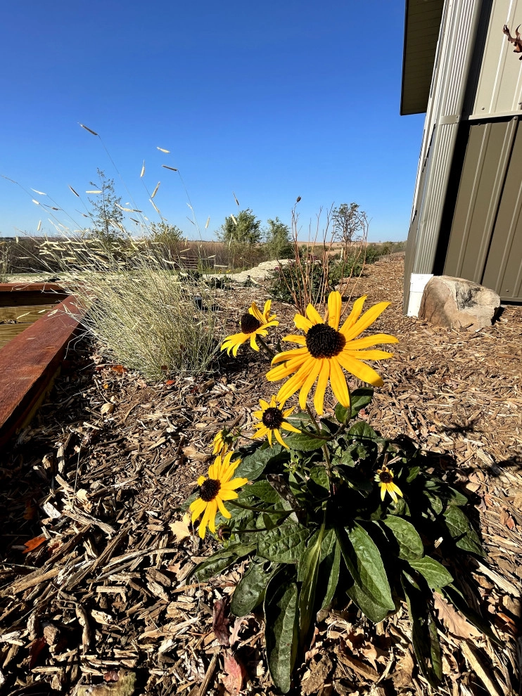 Countryside Escape by Landscape Consultants LLC - Photo 4