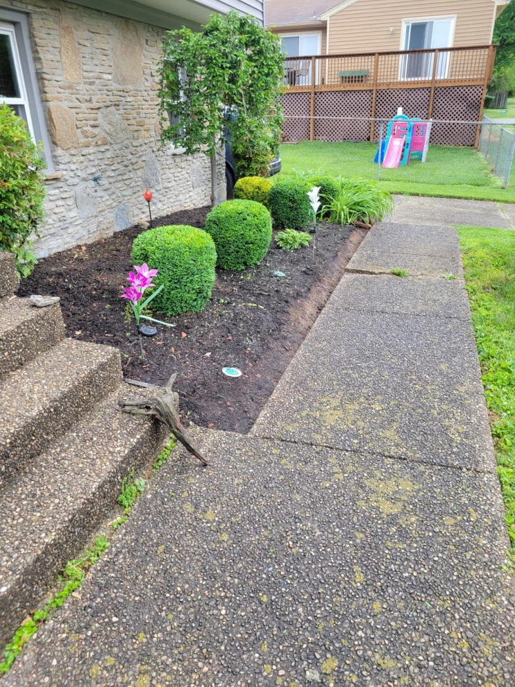 Alberto Alavez Professional Lawn Services LLC 17 by Alberto Alavez Professional Lawn Services LLC - Photo 17