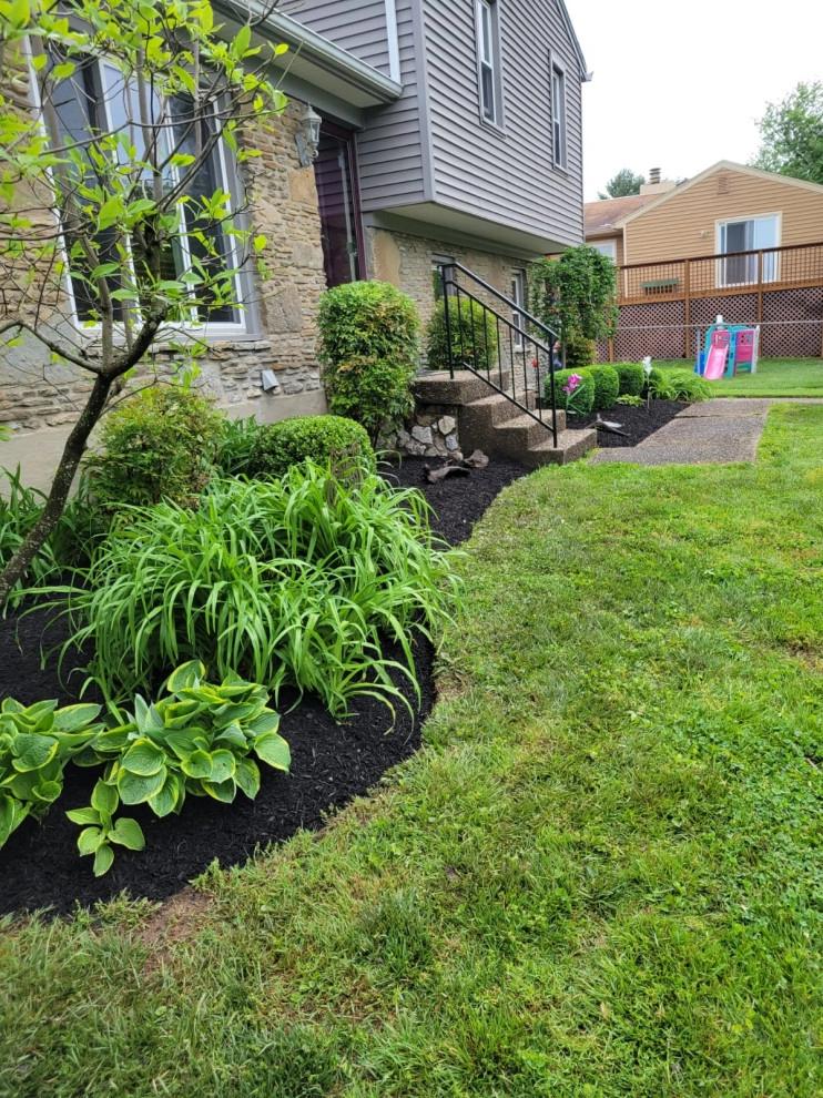 Alberto Alavez Professional Lawn Services LLC 17 by Alberto Alavez Professional Lawn Services LLC - Photo 4
