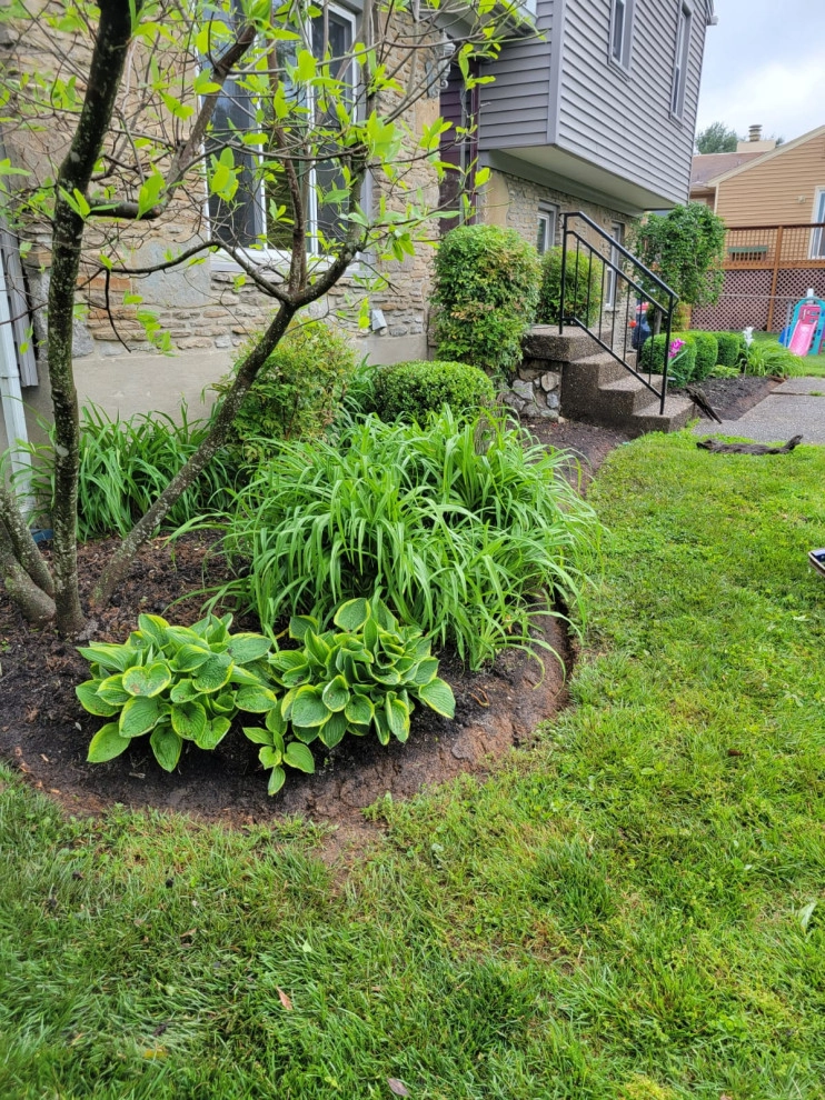 Alberto Alavez Professional Lawn Services LLC 17 by Alberto Alavez Professional Lawn Services LLC - Photo 19