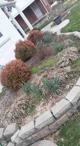 Alberto Alavez Professional Lawn Services LLC 5 by Alberto Alavez Professional Lawn Services LLC - Photo 95