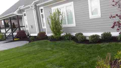 Alberto Alavez Professional Lawn Services LLC 5 by Alberto Alavez Professional Lawn Services LLC - Photo 13