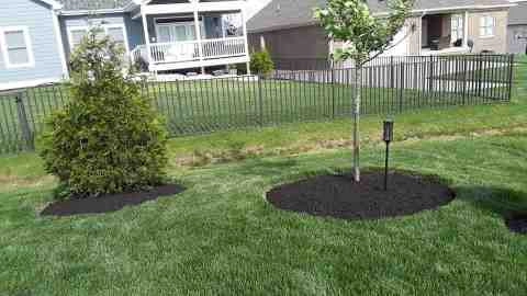 Alberto Alavez Professional Lawn Services LLC 5 by Alberto Alavez Professional Lawn Services LLC - Photo 6