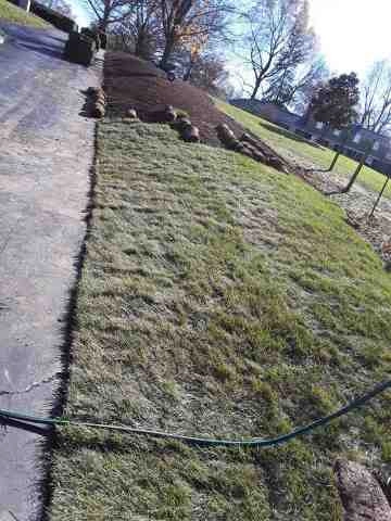 Alberto Alavez Professional Lawn Services LLC 5 by Alberto Alavez Professional Lawn Services LLC - Photo 88