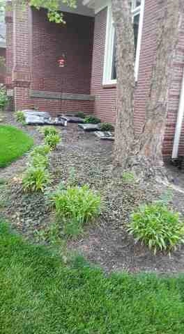 Alberto Alavez Professional Lawn Services LLC 5 by Alberto Alavez Professional Lawn Services LLC - Photo 54