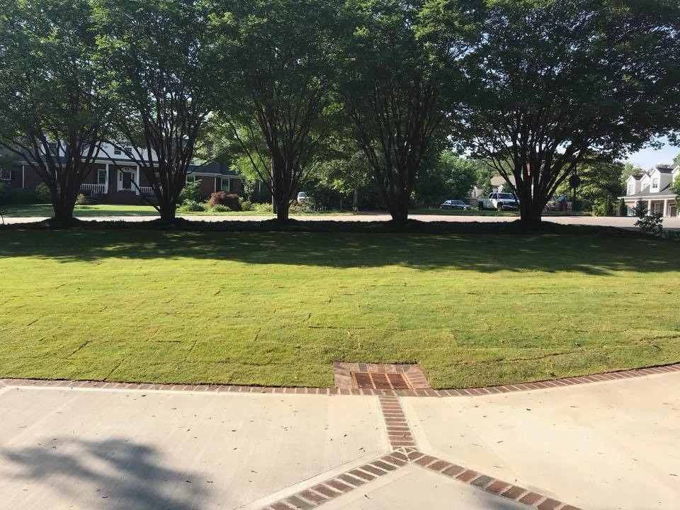 Custom Landscape Work by Landscape Perceptions - Photo 15