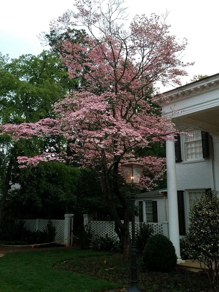 Custom Landscape Work by Landscape Perceptions - Photo 25