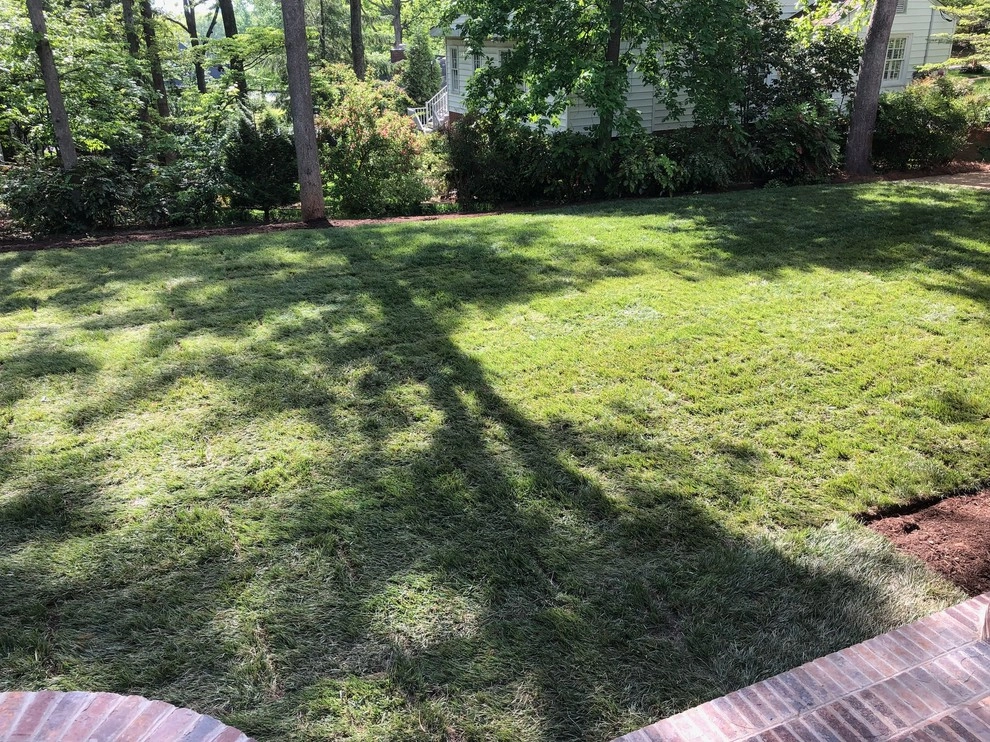 Augusta Road Wall Backyard Sod Irrigation by Landscape Perceptions - Photo 6