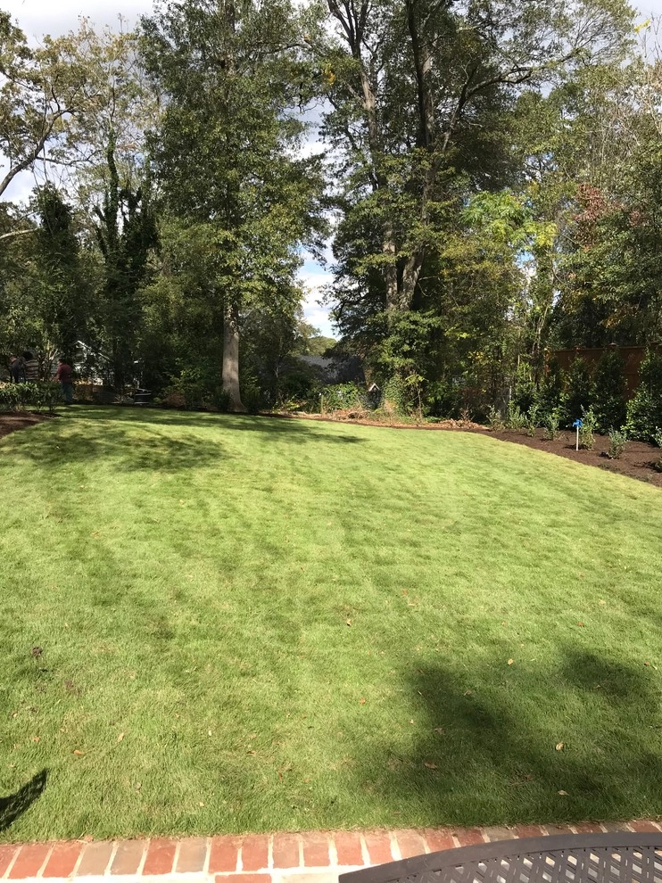 Earle Street by Landscape Perceptions - Photo 12